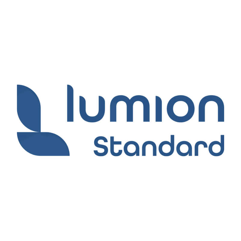 Lumion Standard License