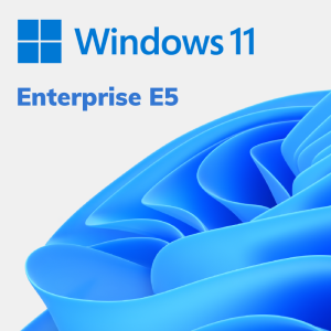Windows Enterprise E5