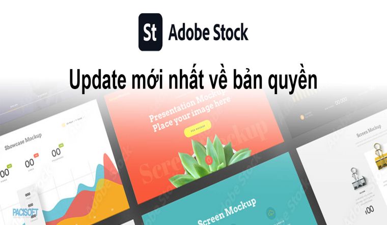 [UPDATE] Cập nhật mới nhất về bản quyền Adobe Stock 