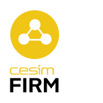 Cesim Firm | Quản lý doanh nghiệp chung của công ty