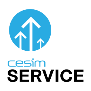 Cesim Service | Quản lý doanh nghiệp dịch vụ nhỏ