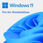 Windows 11 Pro for Workstations