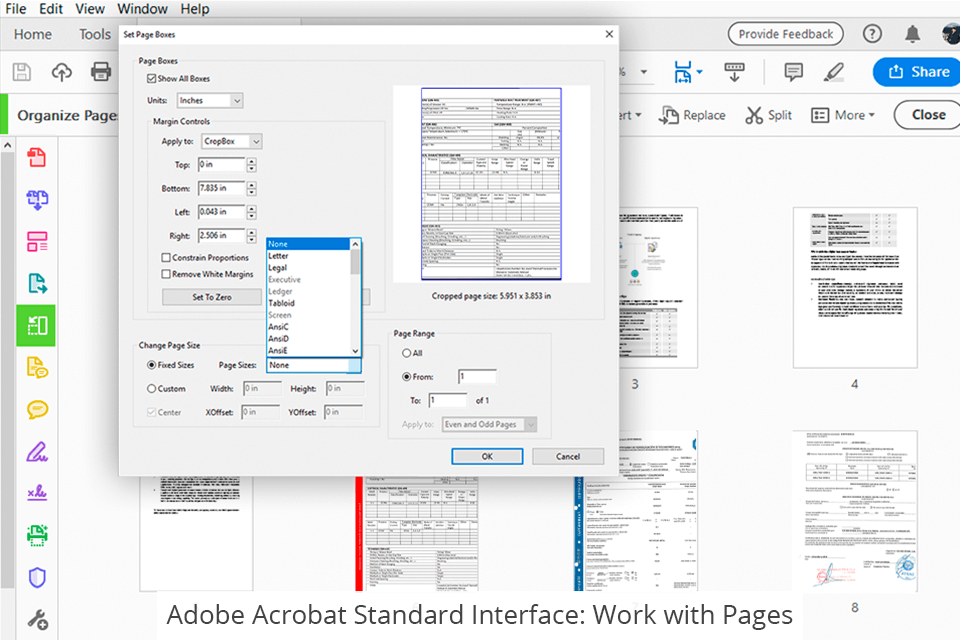 Adobe-Acrobat-Standard-1