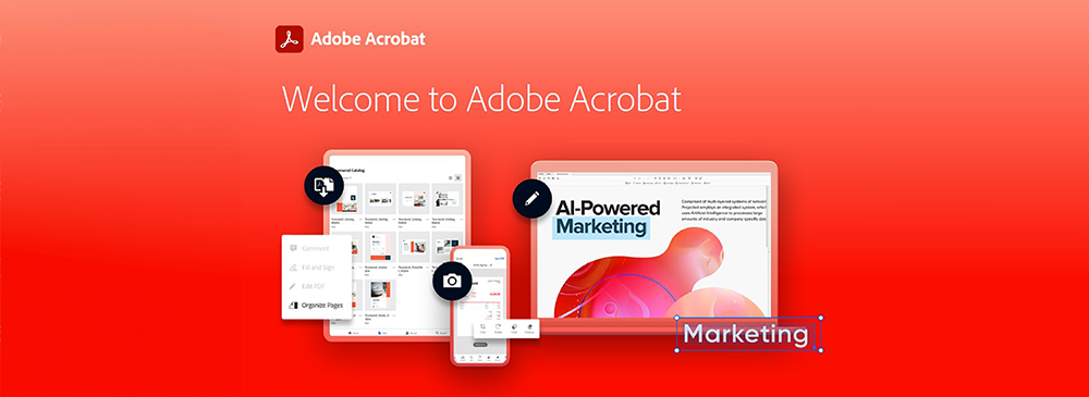 So sánh Adobe Acrobat Pro và Standard - Phiên bản nào dành cho bạn? 